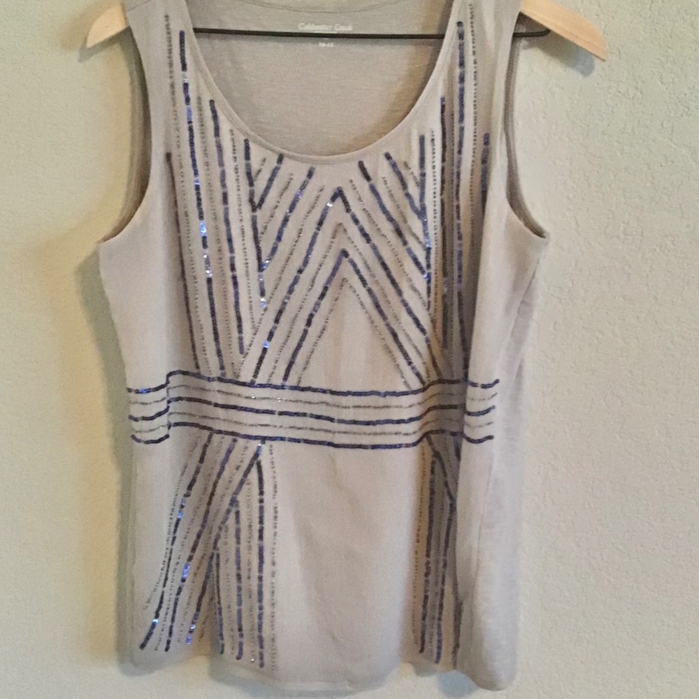 Coldwater Creek gray sequins top